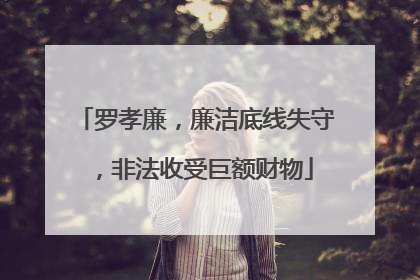 罗孝廉，廉洁底线失守，非法收受巨额财物