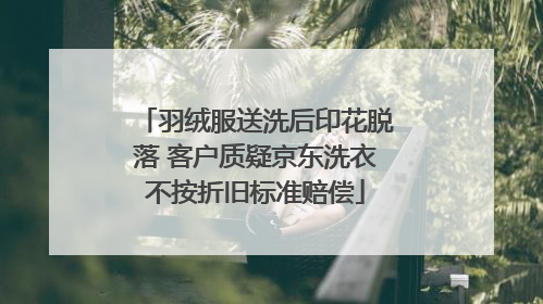 羽绒服送洗后印花脱落 客户质疑京东洗衣不按折旧标准赔偿