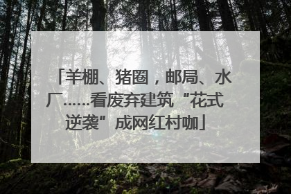 羊棚、猪圈，邮局、水厂……看废弃建筑“花式逆袭”成网红村咖