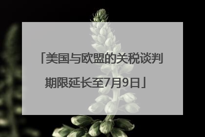 美国与欧盟的关税谈判期限延长至7月9日