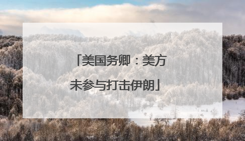 美国务卿：美方未参与打击伊朗
