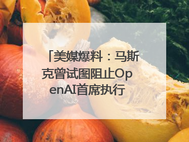 美媒爆料：马斯克曾试图阻止OpenAI首席执行官奥尔特曼在中东的AI交易