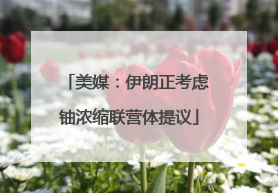 美媒：伊朗正考虑铀浓缩联营体提议
