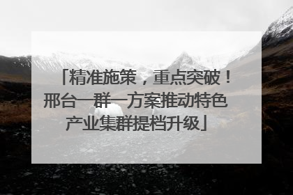 精准施策，重点突破！邢台一群一方案推动特色产业集群提档升级
