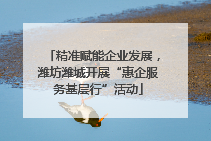 精准赋能企业发展，潍坊潍城开展“惠企服务基层行”活动