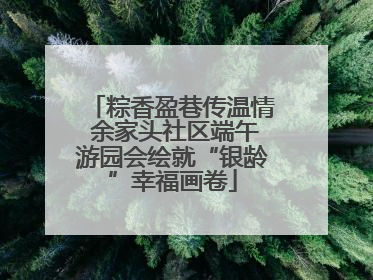 粽香盈巷传温情 余家头社区端午游园会绘就“银龄”幸福画卷