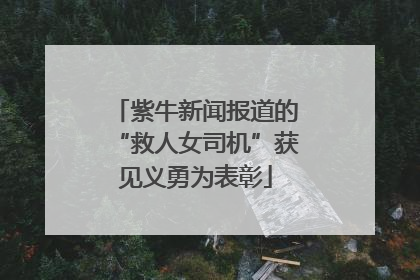 紫牛新闻报道的“救人女司机”获见义勇为表彰