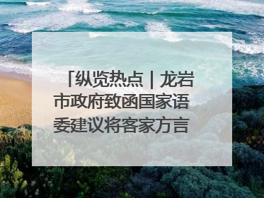 纵览热点｜龙岩市政府致函国家语委建议将客家方言“亻厓”字录入《新华字典》引发热议，当地回应