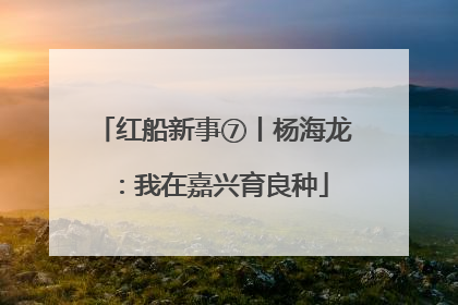 红船新事⑦丨杨海龙：我在嘉兴育良种