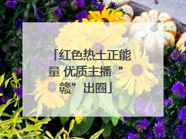 红色热土正能量 优质主播“赣”出圈
