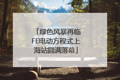 绿色风暴再临 FE电动方程式上海站圆满落幕