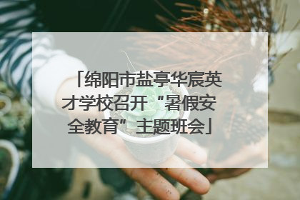 绵阳市盐亭华宸英才学校召开“暑假安全教育”主题班会