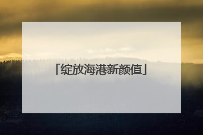 绽放海港新颜值