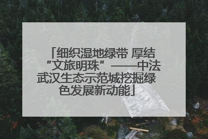 细织湿地绿带 厚结“文旅明珠”——中法武汉生态示范城挖掘绿色发展新动能