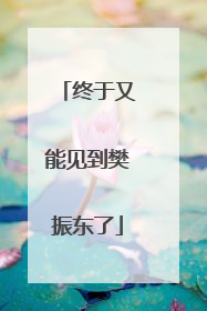 终于又能见到樊振东了