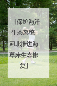 保护海洋生态系统 河北推进海草床生态修复