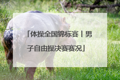 体操全国锦标赛丨男子自由操决赛赛况