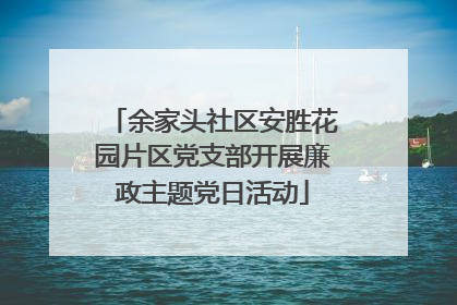 余家头社区安胜花园片区党支部开展廉政主题党日活动