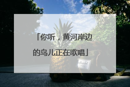 你听，黄河岸边的鸟儿正在歌唱
