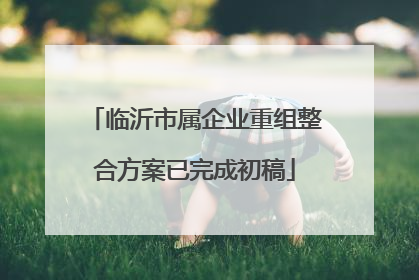 临沂市属企业重组整合方案已完成初稿