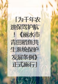 为千年农遗保驾护航！《丽水市青田稻鱼共生系统保护发展条例》正式施行