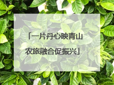 一片丹心映青山 农旅融合促振兴