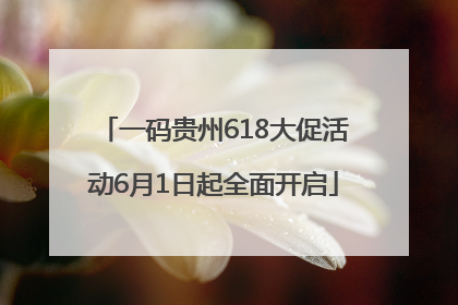 一码贵州618大促活动6月1日起全面开启