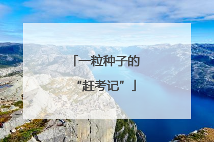 一粒种子的“赶考记”