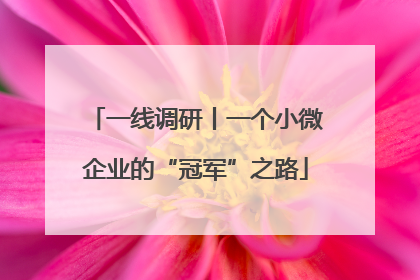 一线调研丨一个小微企业的“冠军”之路