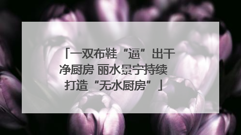 一双布鞋“逼”出干净厨房 丽水景宁持续打造“无水厨房”