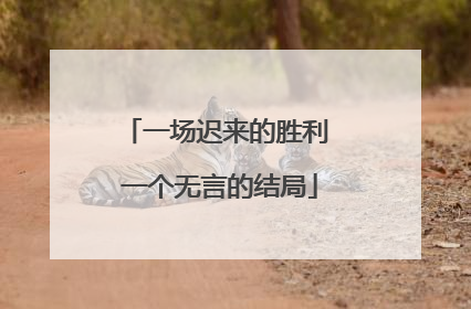 一场迟来的胜利 一个无言的结局