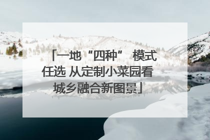 一地“四种” 模式任选 从定制小菜园看城乡融合新图景