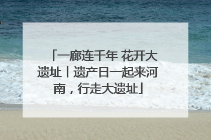 一廊连千年 花开大遗址丨遗产日一起来河南，行走大遗址