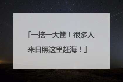 一挖一大筐！很多人来日照这里赶海！
