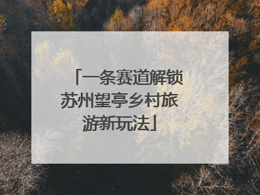 一条赛道解锁苏州望亭乡村旅游新玩法