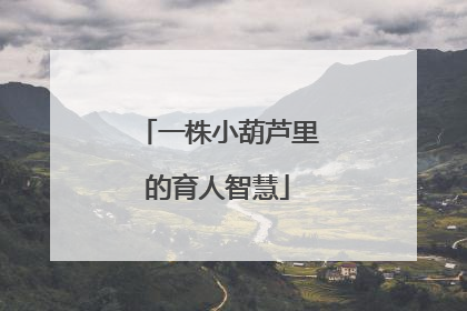 一株小葫芦里的育人智慧