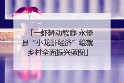 一虾舞动赣鄱 永修县“小龙虾经济”绘就乡村全面振兴蓝图