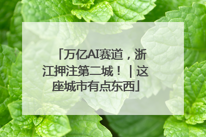 万亿AI赛道，浙江押注第二城！｜这座城市有点东西
