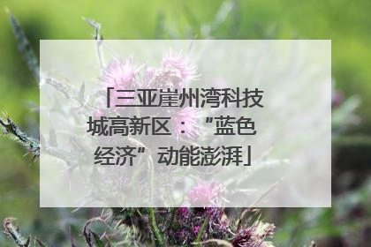 三亚崖州湾科技城高新区：“蓝色经济”动能澎湃