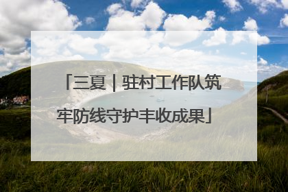 三夏｜驻村工作队筑牢防线守护丰收成果