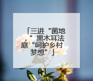 三进“菌地，”黑木耳法庭“呵护乡村梦想”