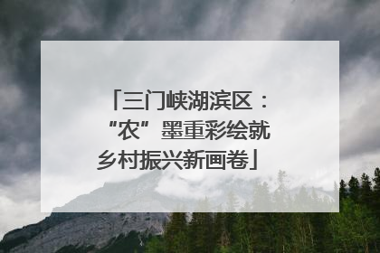 三门峡湖滨区：“农”墨重彩绘就乡村振兴新画卷
