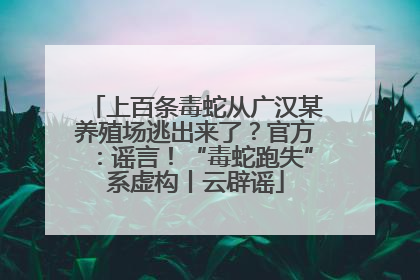 上百条毒蛇从广汉某养殖场逃出来了？官方：谣言！“毒蛇跑失”系虚构丨云辟谣