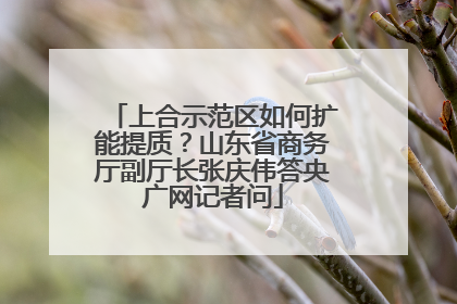 上合示范区如何扩能提质？山东省商务厅副厅长张庆伟答央广网记者问