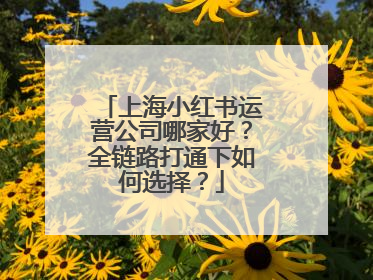 上海小红书运营公司哪家好？全链路打通下如何选择？