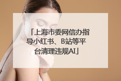 上海市委网信办指导小红书、B站等平台清理违规AI