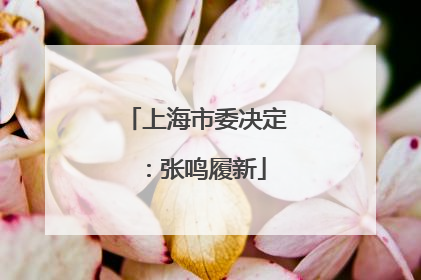 上海市委决定：张鸣履新