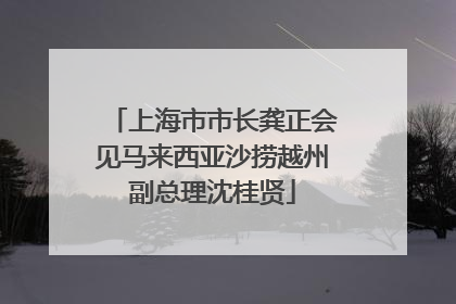 上海市市长龚正会见马来西亚沙捞越州副总理沈桂贤