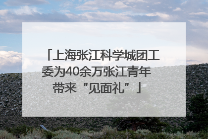 上海张江科学城团工委为40余万张江青年带来“见面礼”