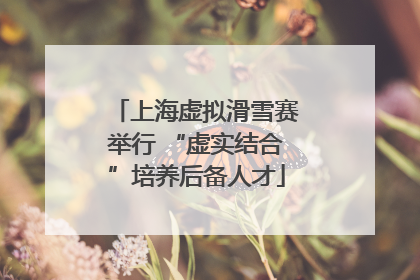 上海虚拟滑雪赛举行 “虚实结合”培养后备人才